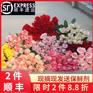 香水百合 優雅芬芳的禮品花卉之選