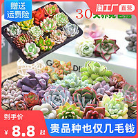 五月花語 自選花束，傳遞浪漫心意